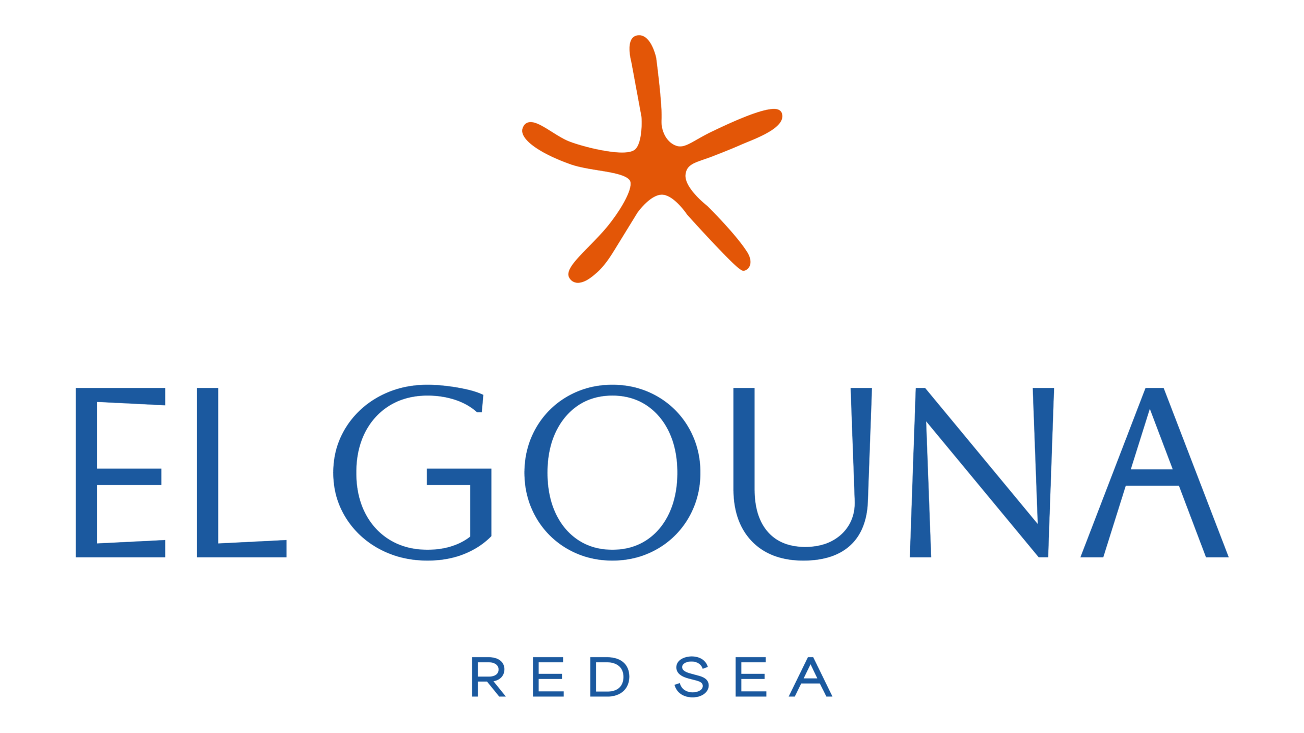 Developer Logo 4