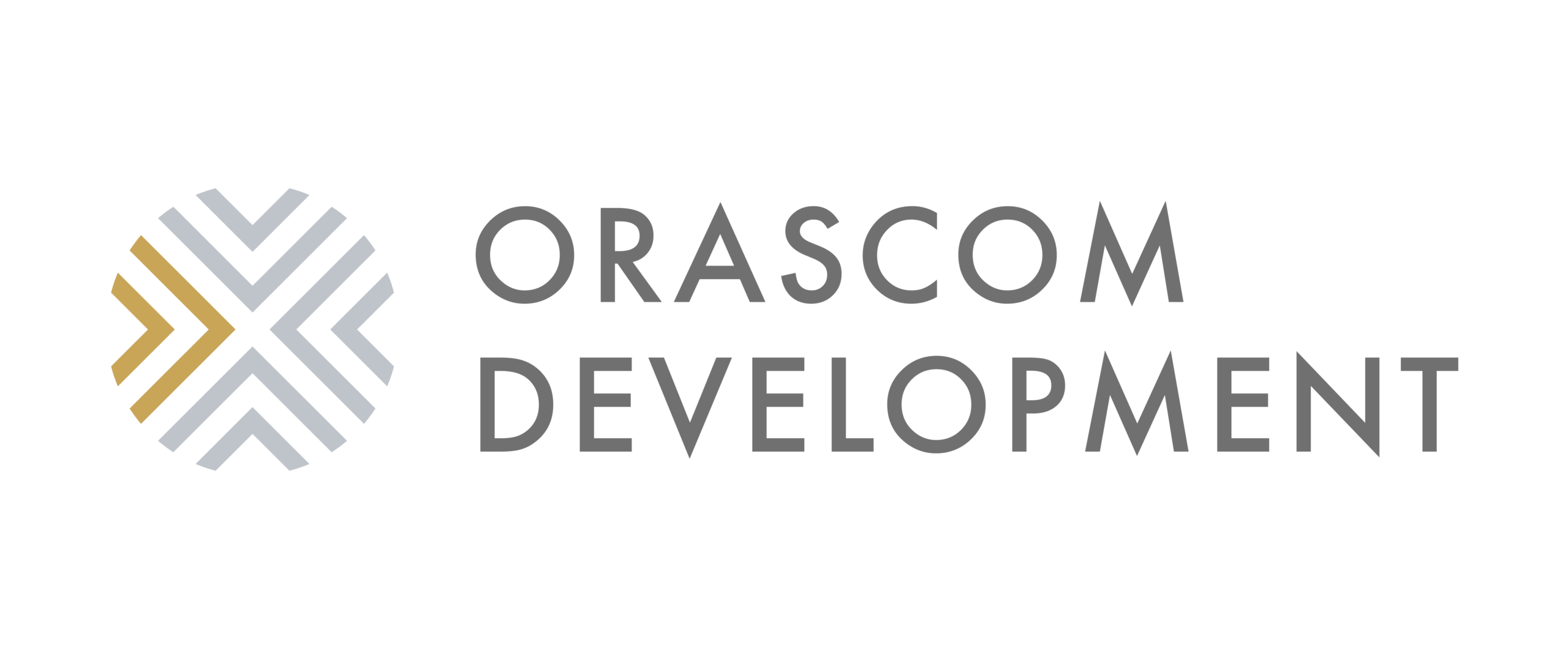 Developer Logo 10