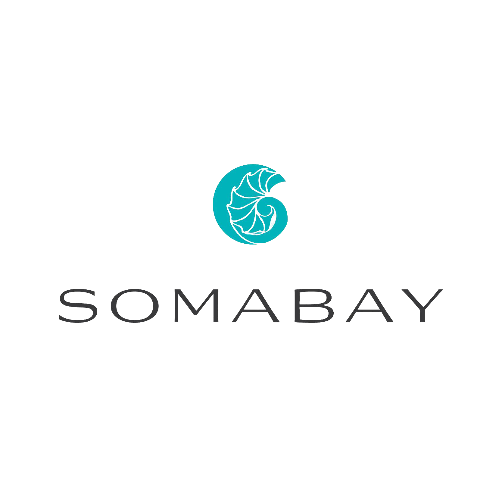 Developer Logo 2